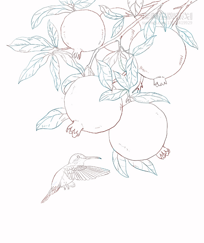 優(yōu)粹護(hù)膚植物國潮風(fēng)手繪線稿圖